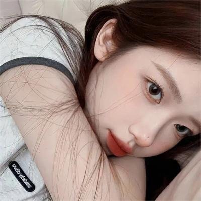超级救援狗